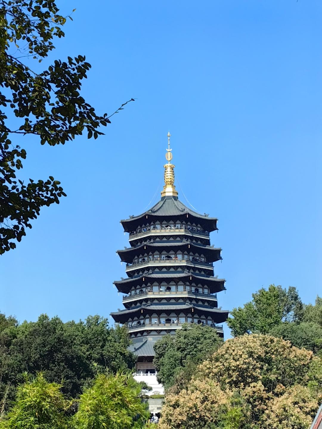 _红烧胖大海