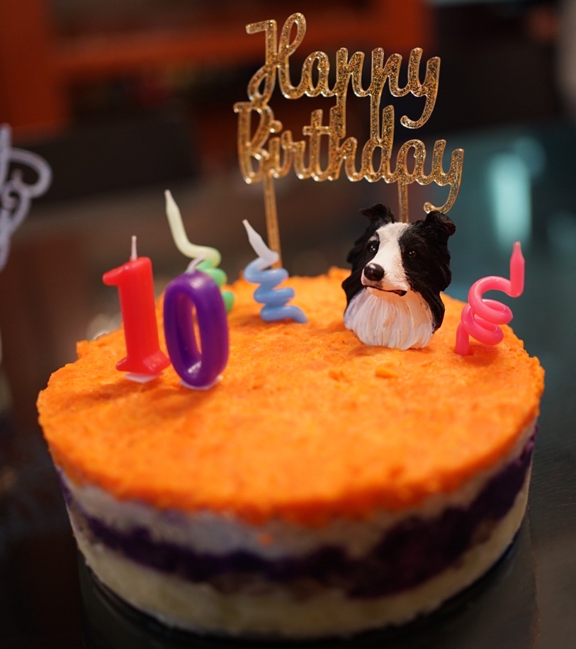 完全无添加的狗狗（宠物）生日蛋糕
