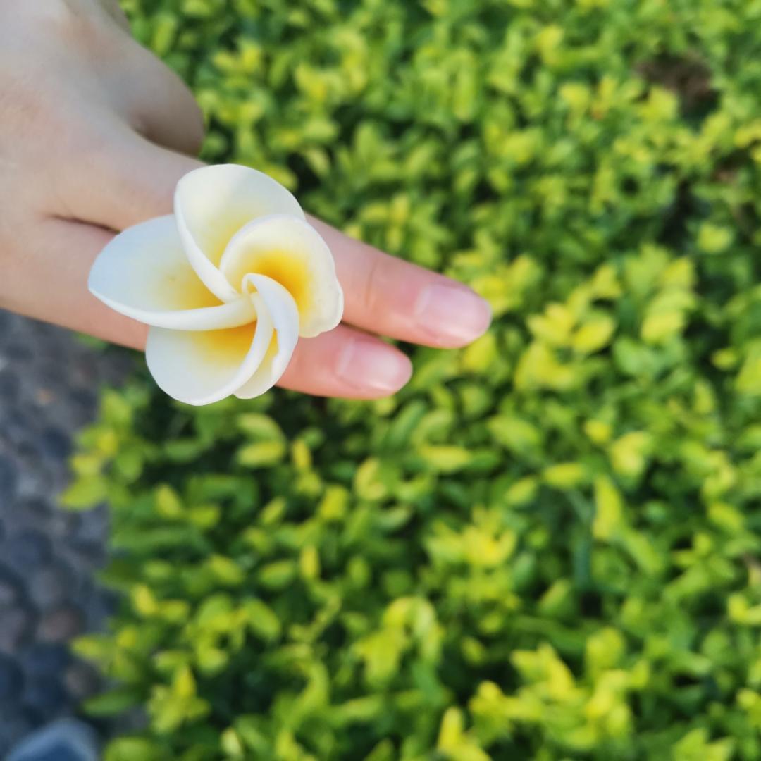 花草铃铛