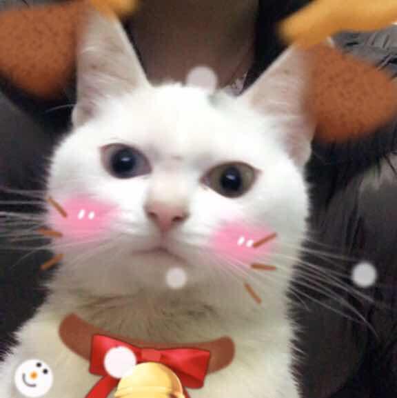 简梓