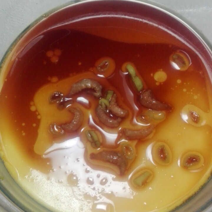 平滑如镜的蛋羹