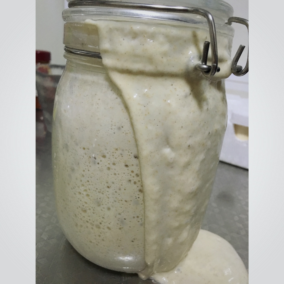 【Ken Forkish】天然酵种培养