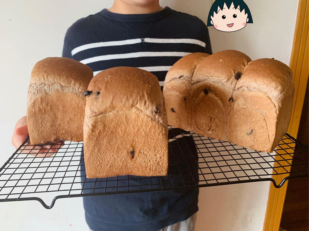 巧克力吐司（可可吐司）