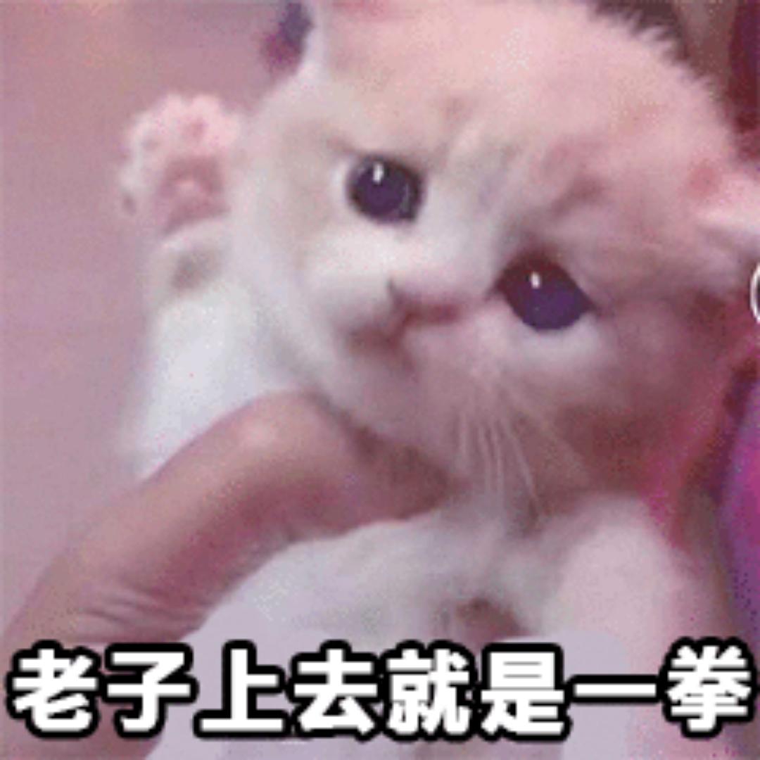 老子我