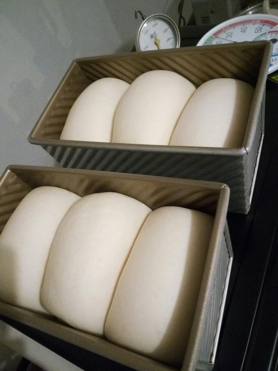 酸奶吐司～17小时冷藏中种法