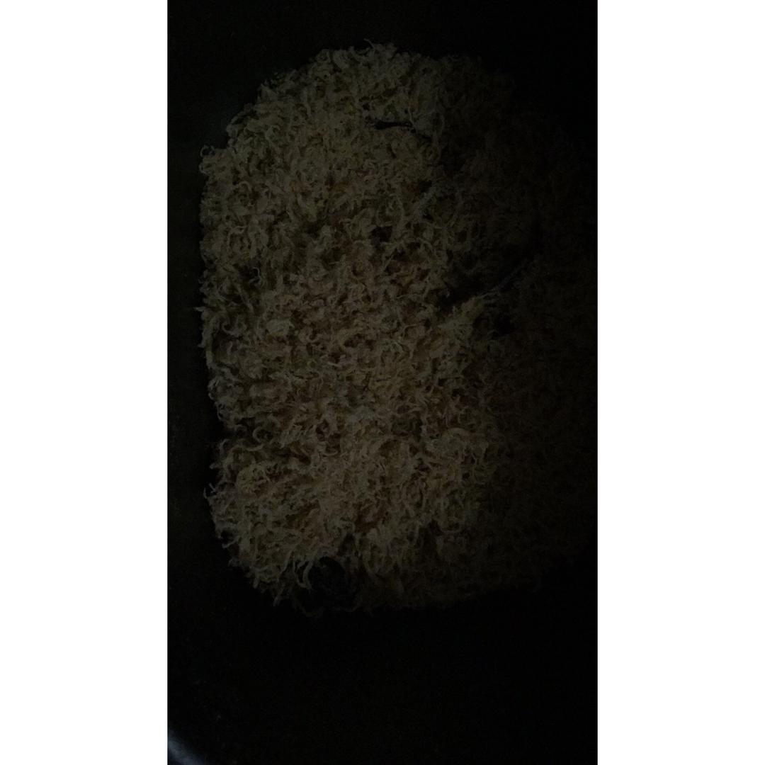 自制肉松(面包机版)