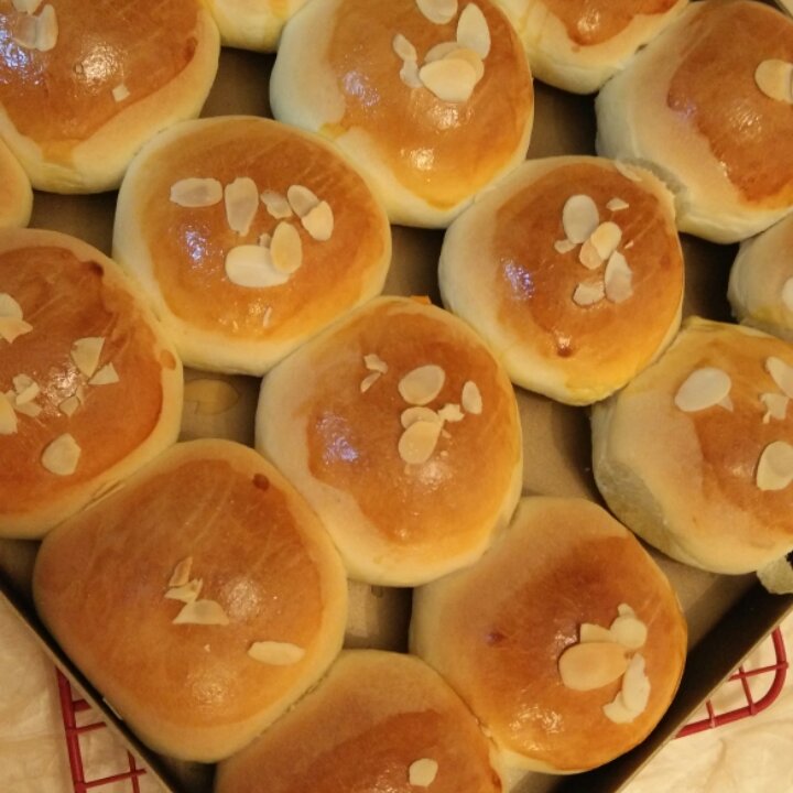 鲜奶油小餐包（一次发酵）