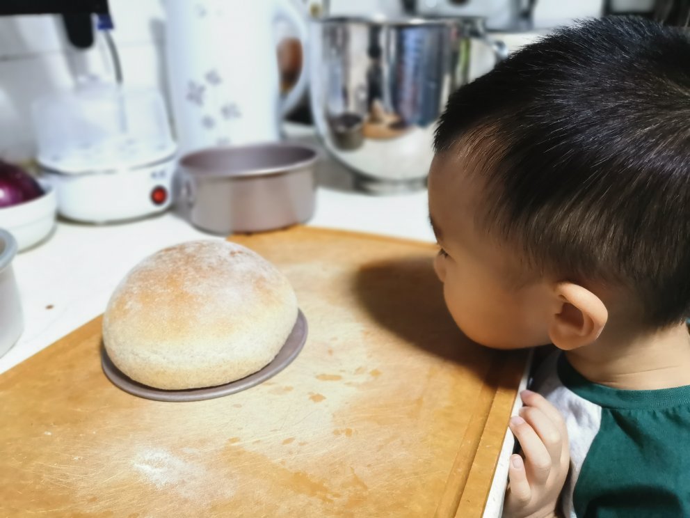 高水量全麦小餐包 小美7分钟揉面