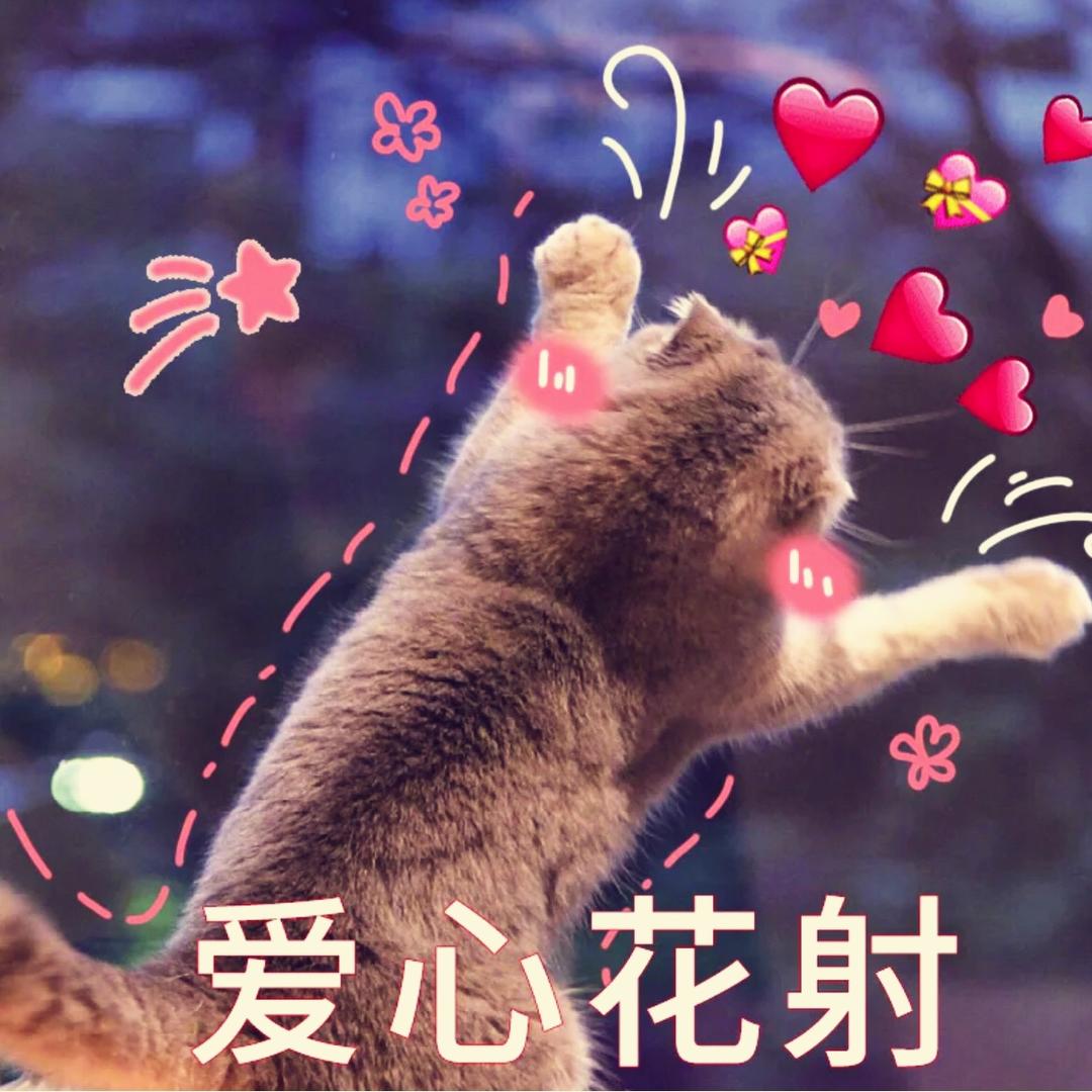 爱做饭的小喜芬