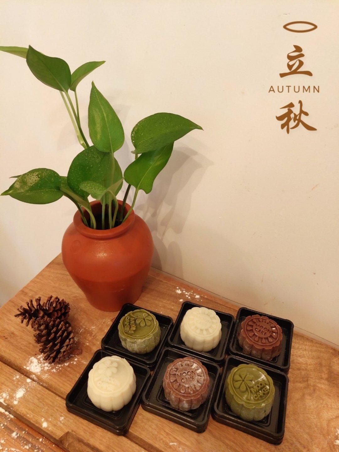 《Tinrry下午茶》冰皮月饼（奶黄馅）