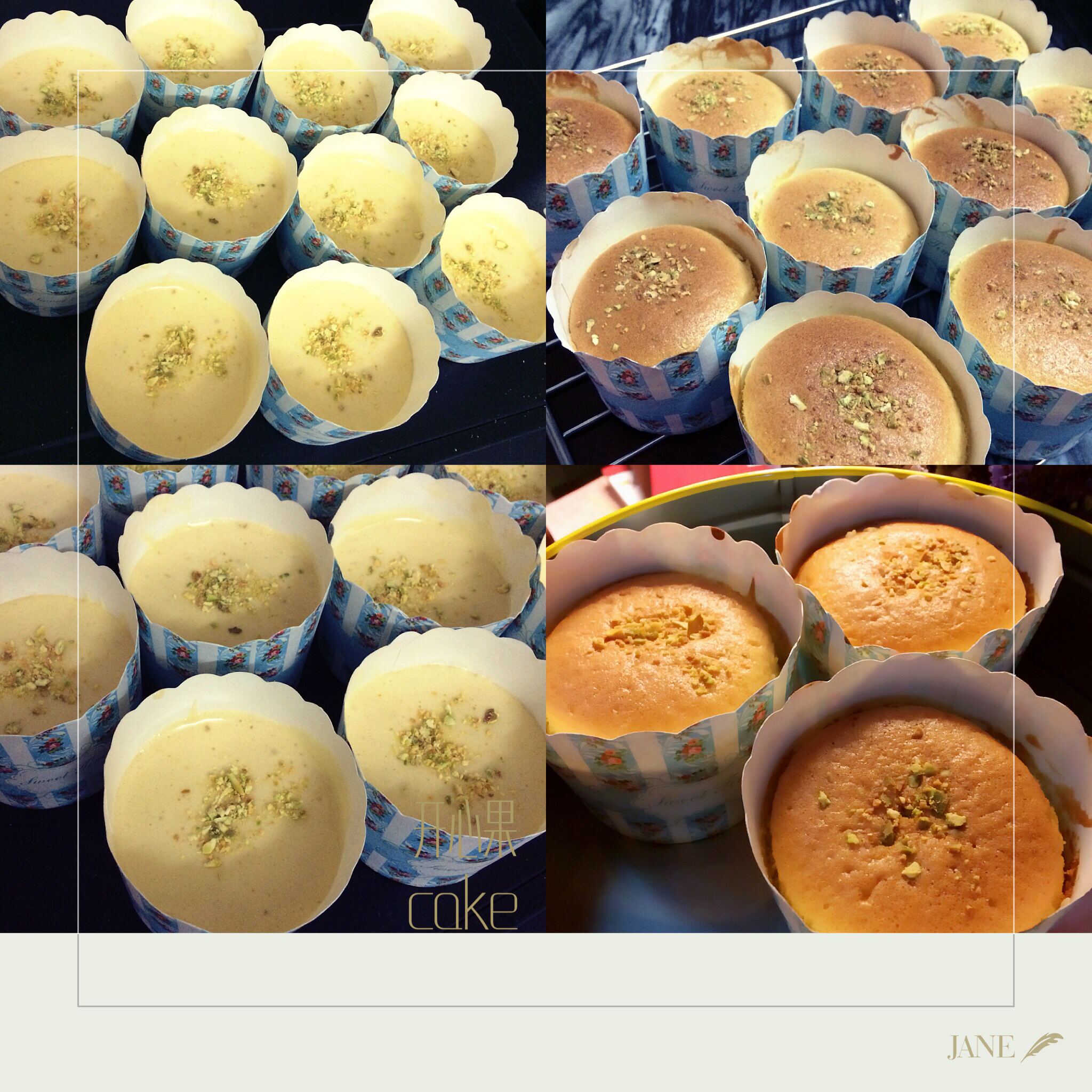 不会回缩的纸杯蛋糕--海氏烤箱定制