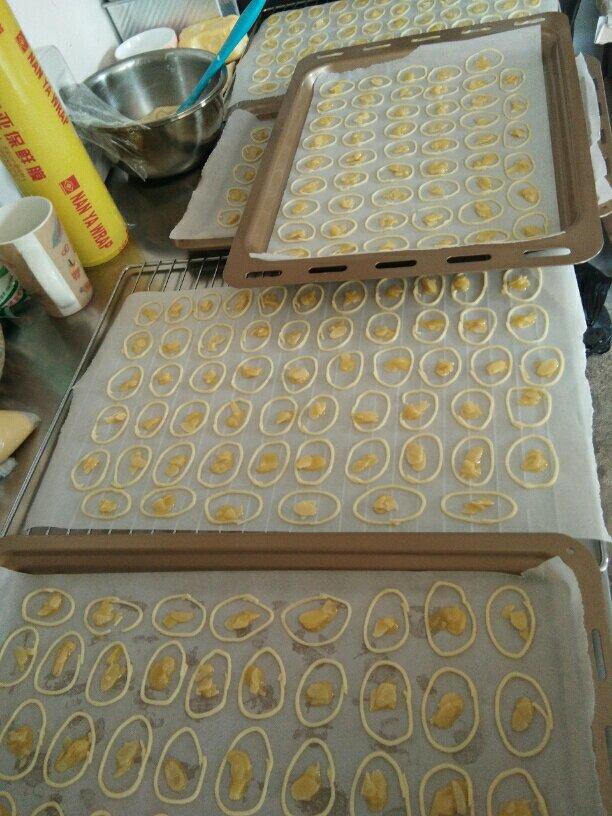 罗马盾牌