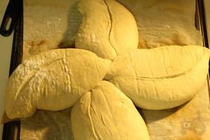 <至爱面包>天然酵种橙香孜然轻黑麦欧包的做法 步骤5