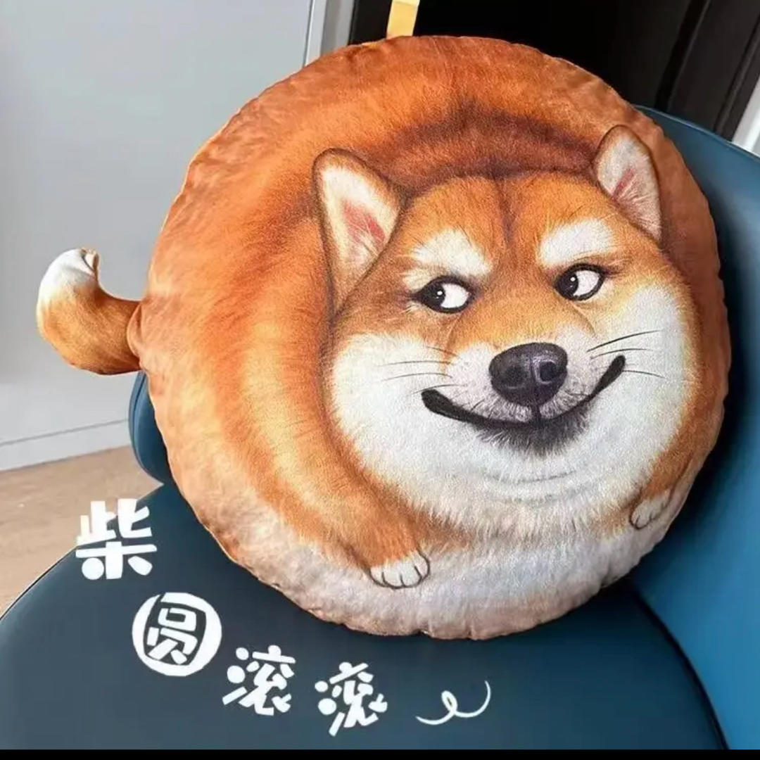 又菜又爱吃hh