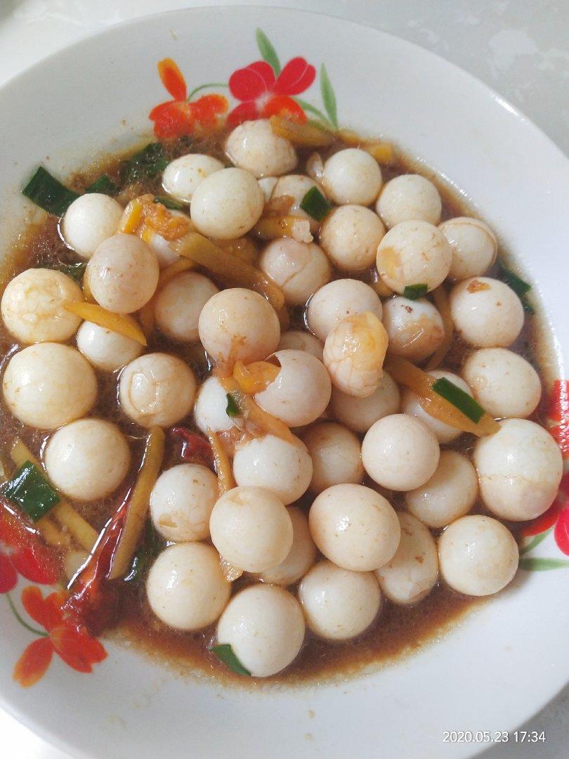 红烧甲鱼蛋的全部作品