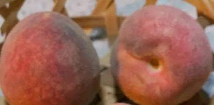 让人无法抗拒の桃子牛奶布丁🍑