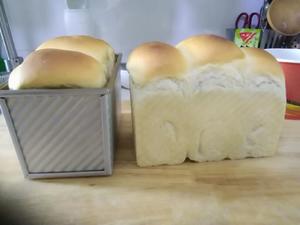 北海道100%中种一次性发酵橄榄油面包~~大名鼎鼎的妃娟  变形版的做法 步骤12