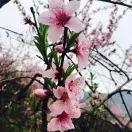 源总的女王大人