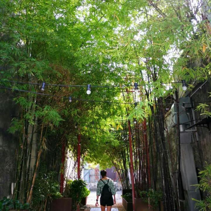 初学者1号