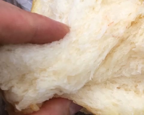 波兰种+水合法面包