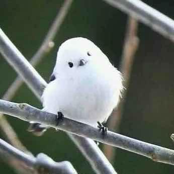 手机用户1037_3p8a