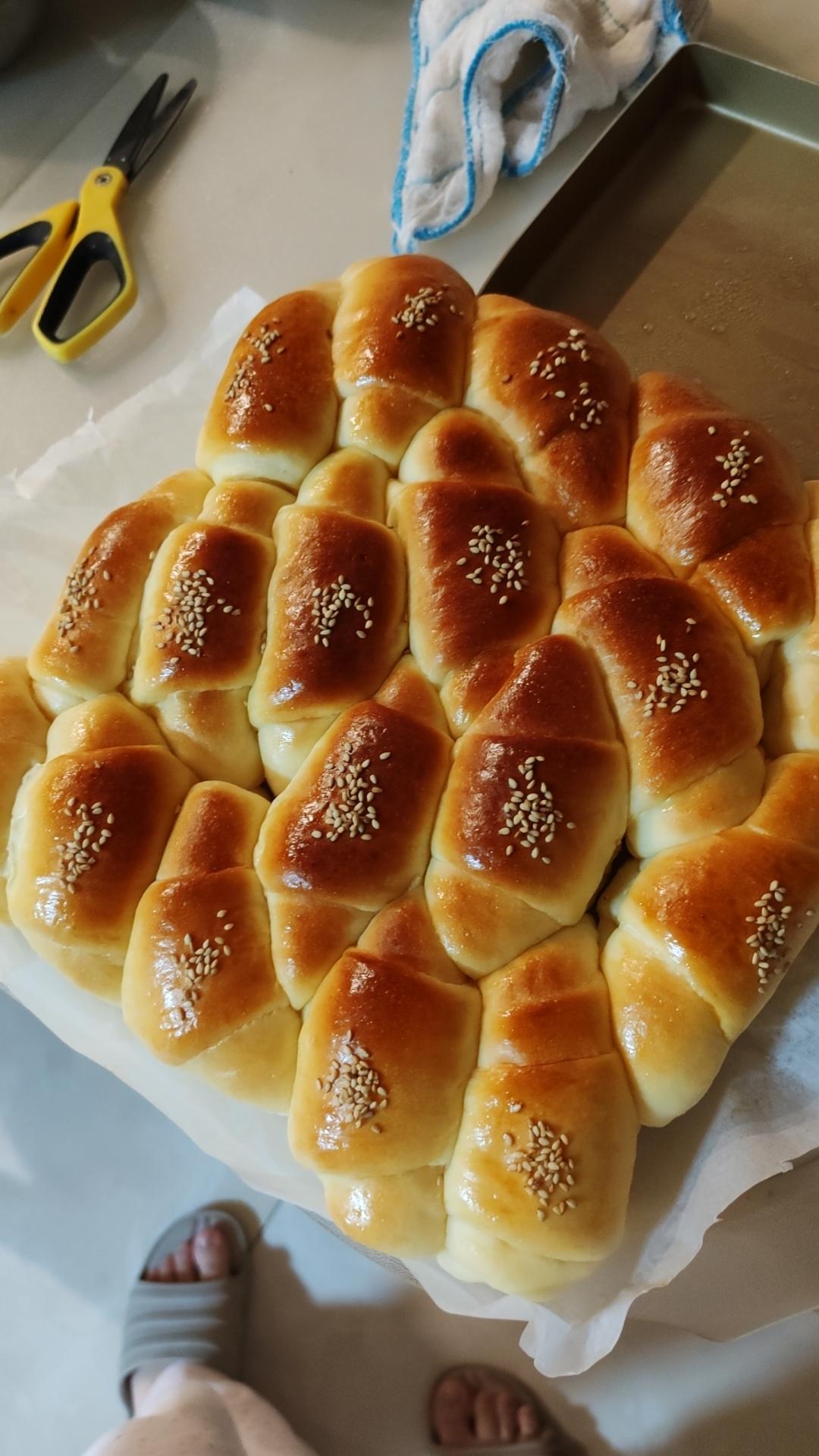 波兰种牛奶餐包