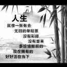 泡沫之夏526