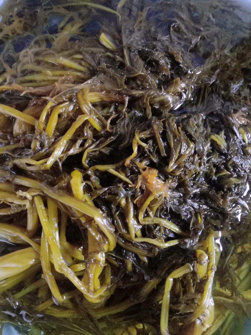 各种包子（饺子）馅备忘