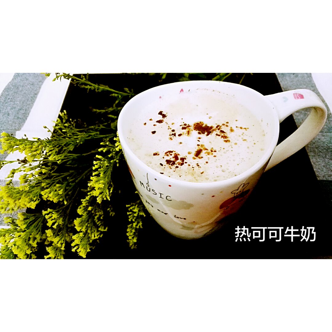 低卡热巧克力可可