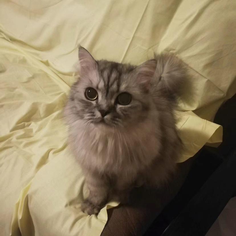 各自欢喜吧的厨房