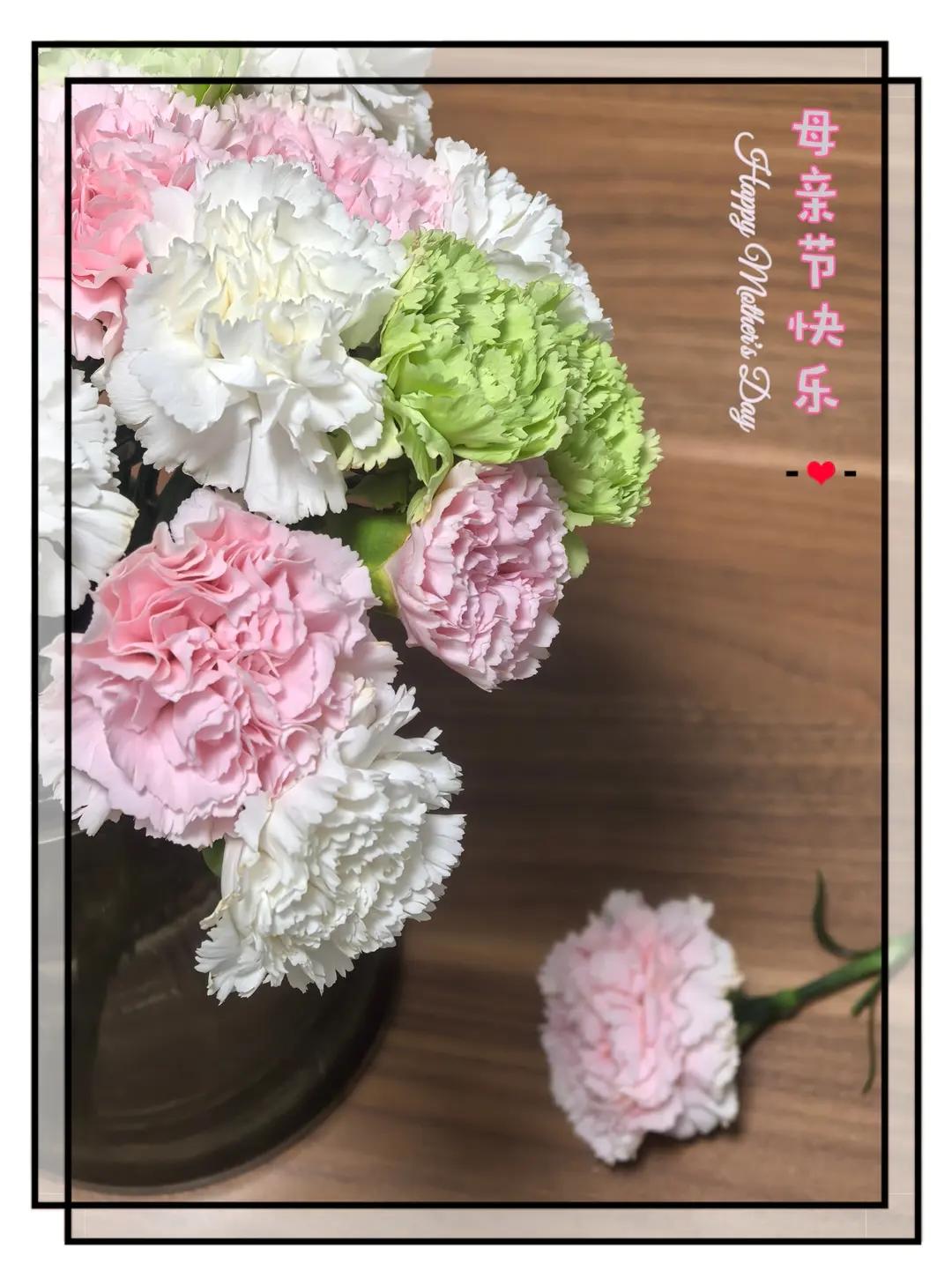 美花美食