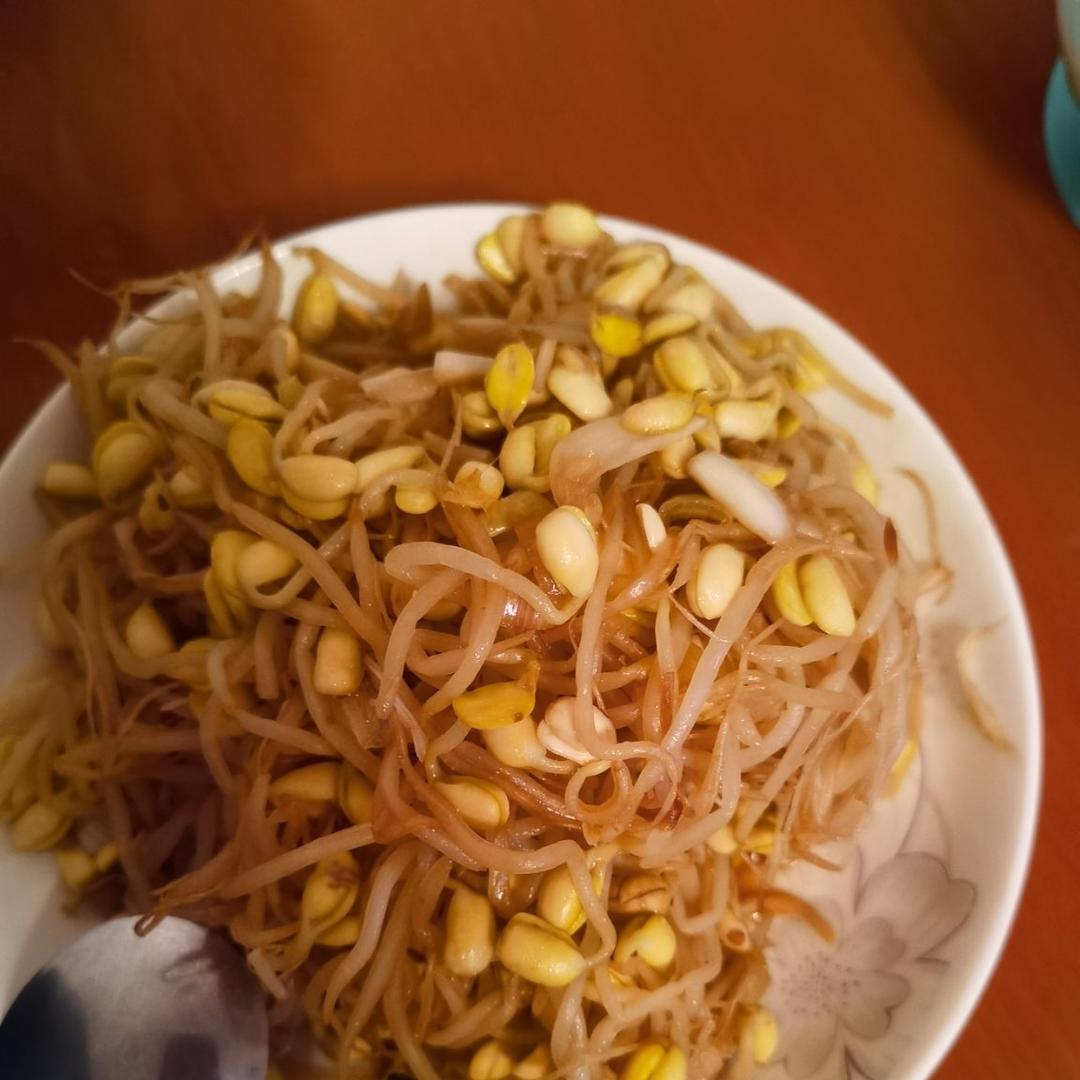 炒黄豆芽