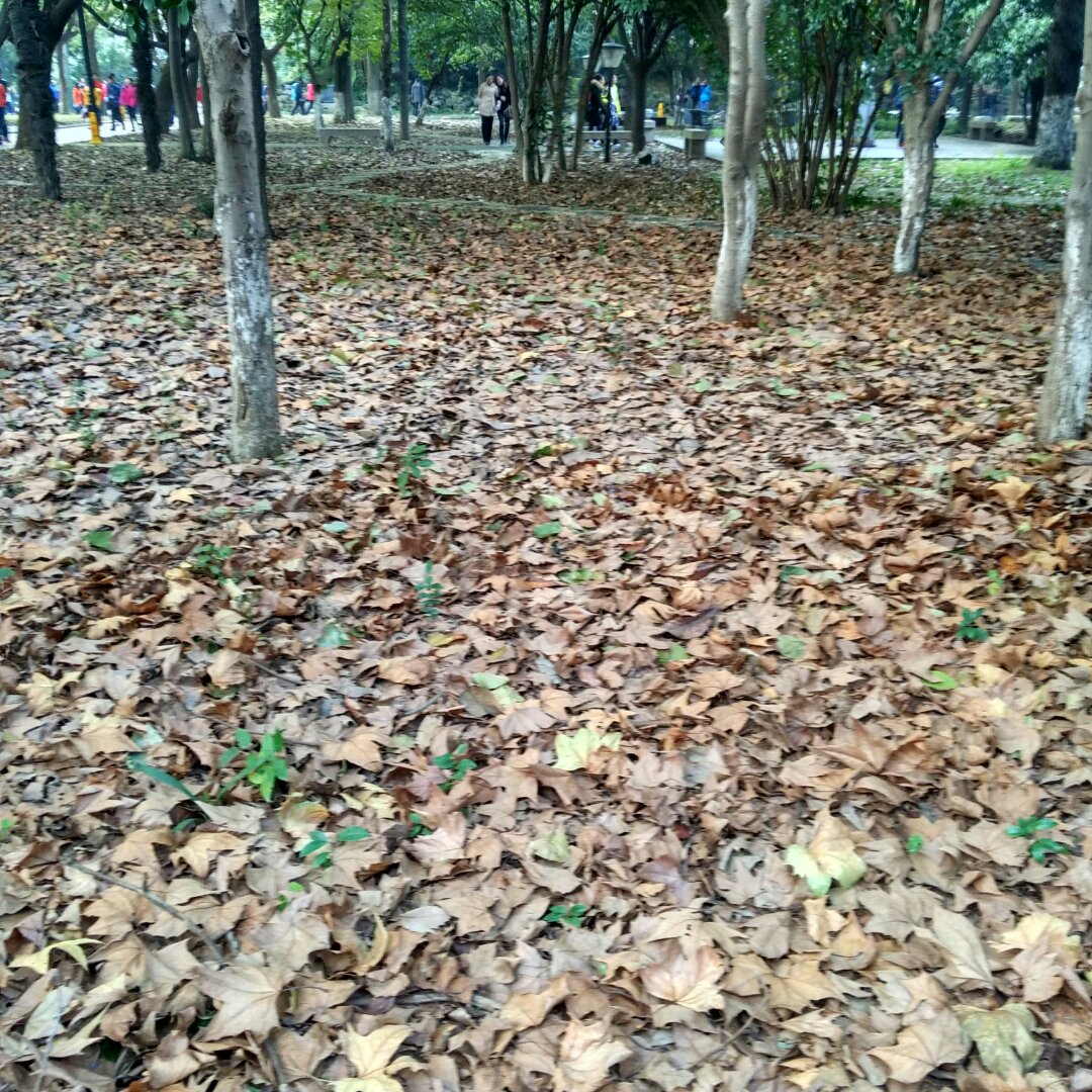 手机用户5175_0pw8