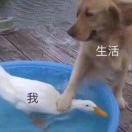 七千千千