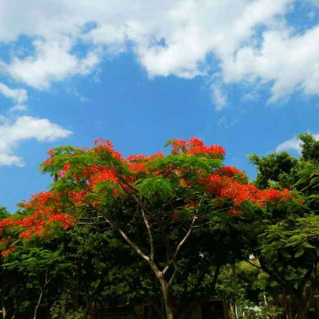 一个名字不重要7