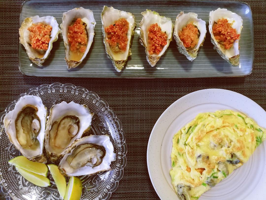 生蚝（论正确的撬壳方法）