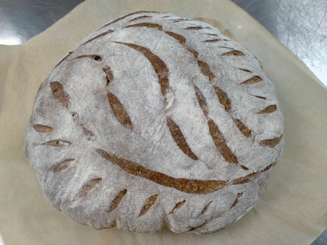 欧包 波兰种 割包视频