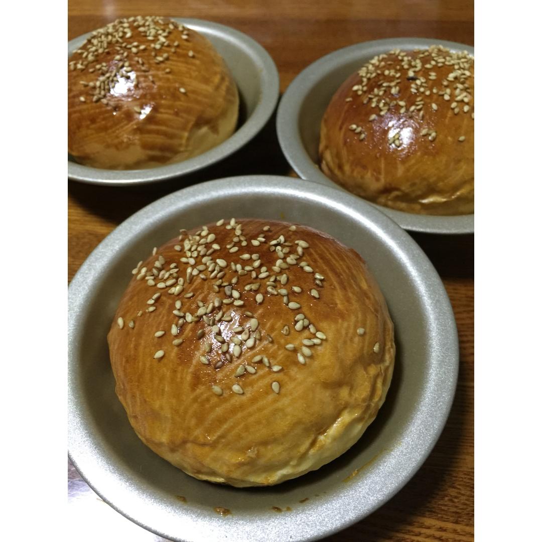 汉堡胚（中种法）