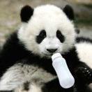 手机用户0832_825x