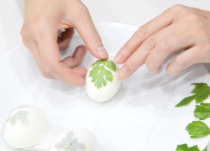【香兰世家】印花茶叶蛋 | 鸡蛋经常吃，印花蛋见过没?的做法 步骤4