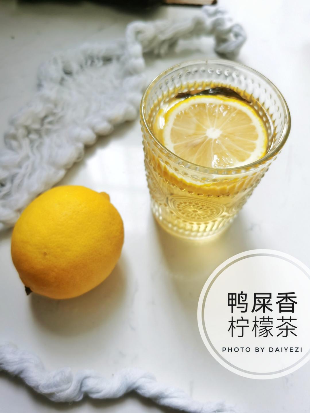 一只呆叶子做的凤凰单丛蜜兰香版一颗柠檬茶
