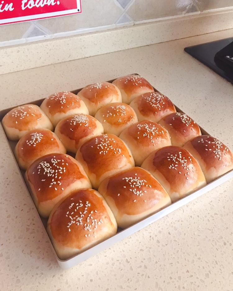 鲜奶油小餐包（一次发酵）