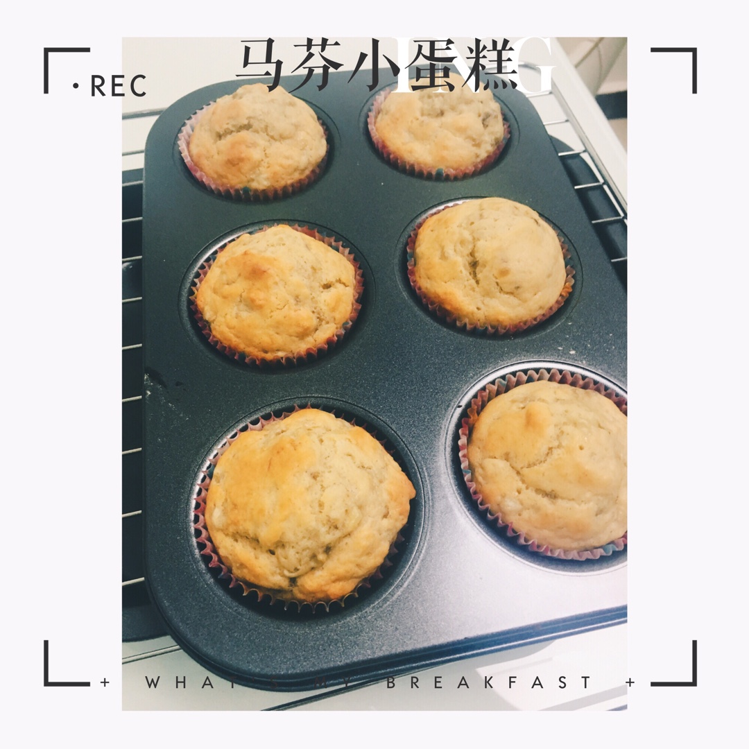少女心的香蕉蔓越莓玛芬
