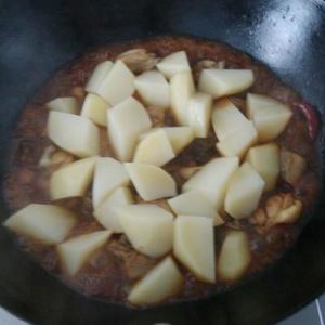 鸡腿顿土豆的做法 步骤4