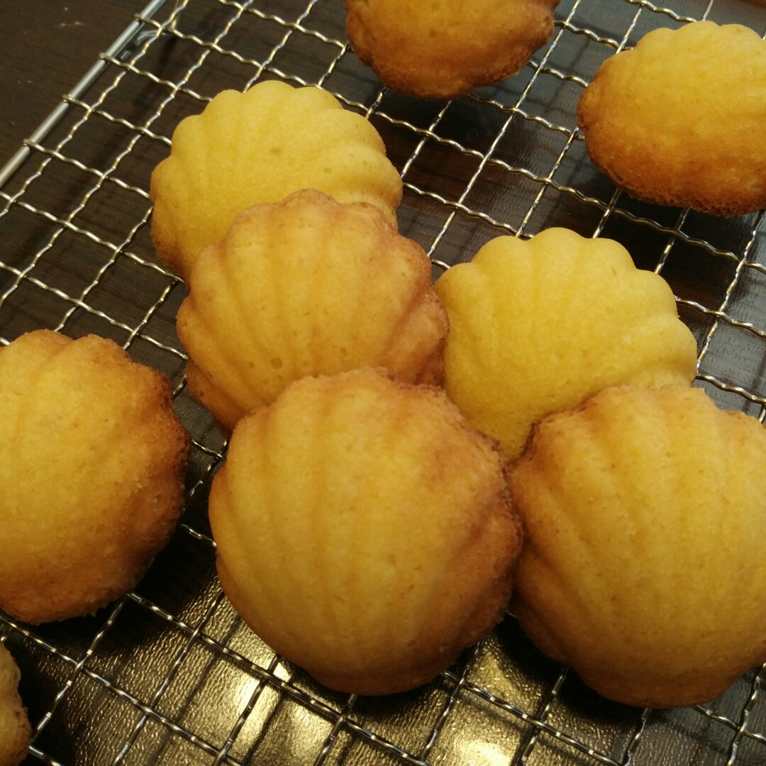 玛德琳（蓝带方）