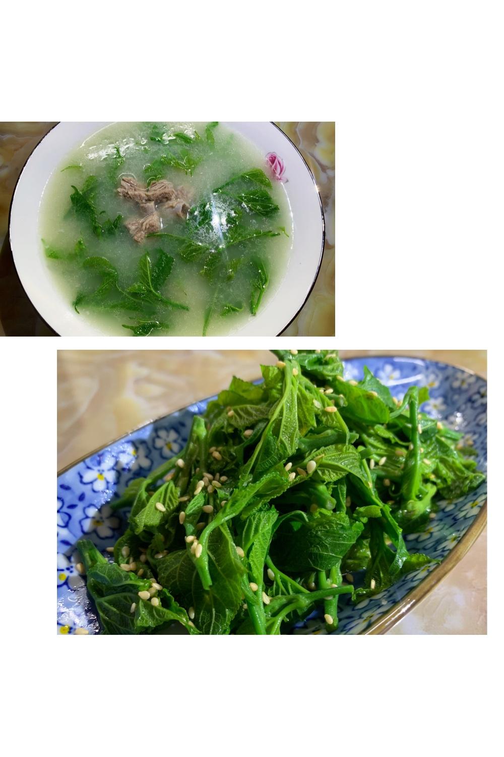 粥油（米浆）浸桑芽&凉拌桑芽的做法