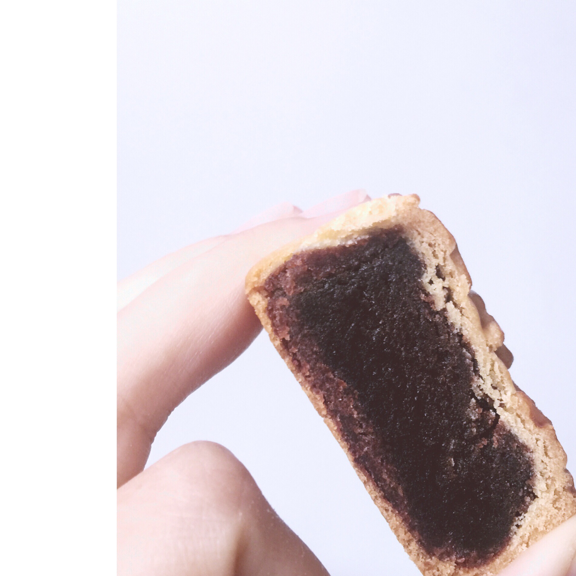 广式月饼—蛋黄莲蓉月饼