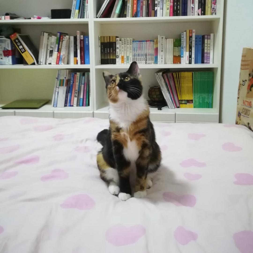 二英89