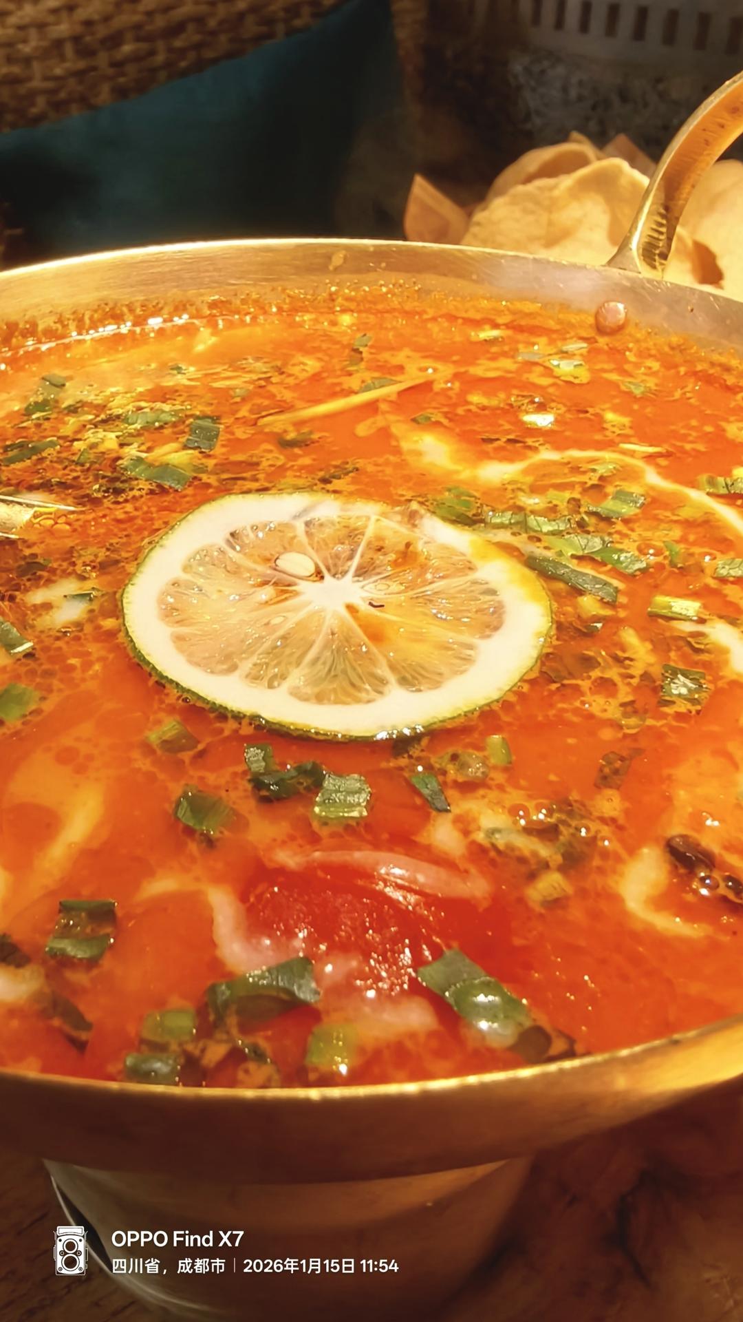 午餐•2026年1月15日