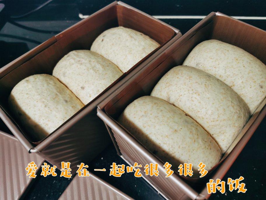 中种面包记录